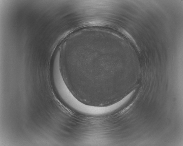 X0000068890930200606021915