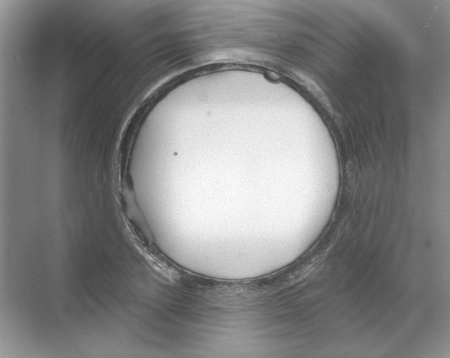 X0000068890931200606021915