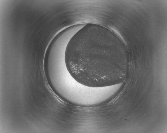 X0000068890932200606021915