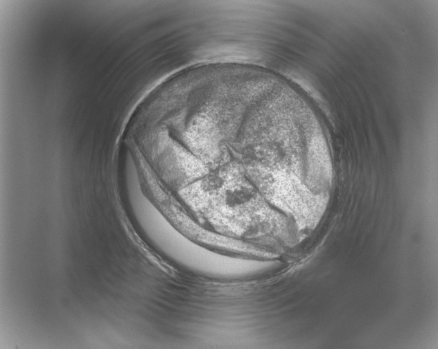 X0000068890933200606021915