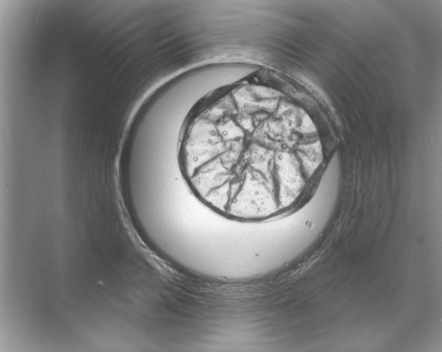 X0000068890936200606021915