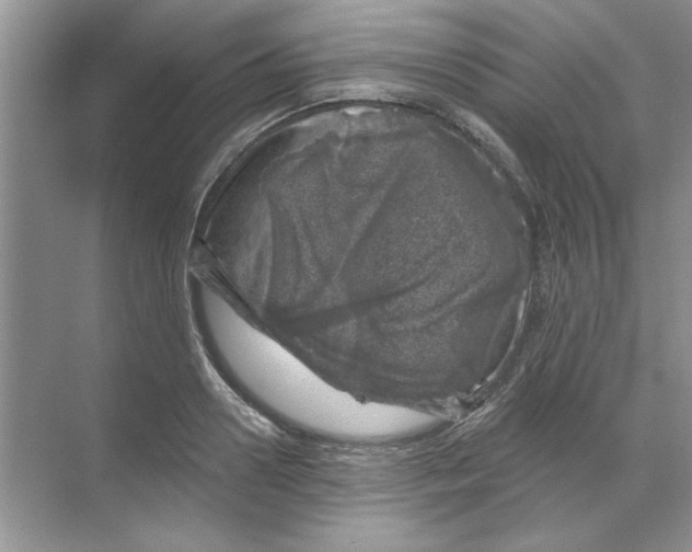 X0000068890938200606021916