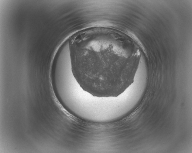 X0000068890939200606021916