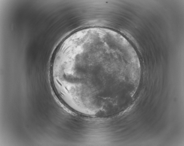 X0000068890941200606021916