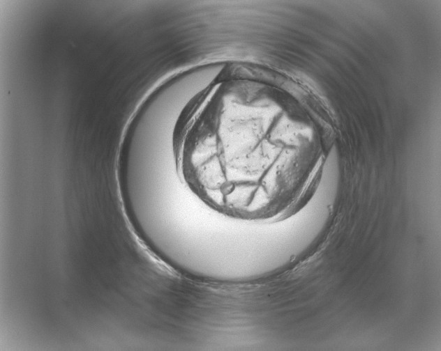 X0000068890942200606021916