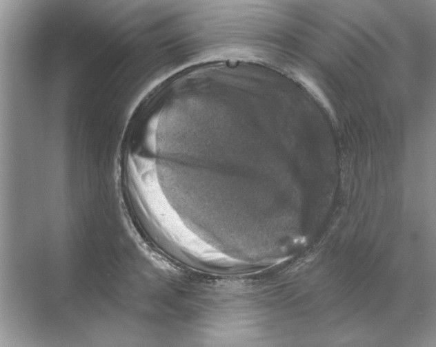 X0000068890944200606021916