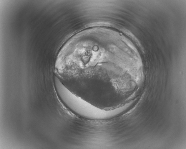 X0000068890945200606021916