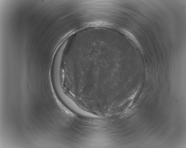 X0000068890946200606021916