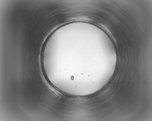 X0000068890947200606021916