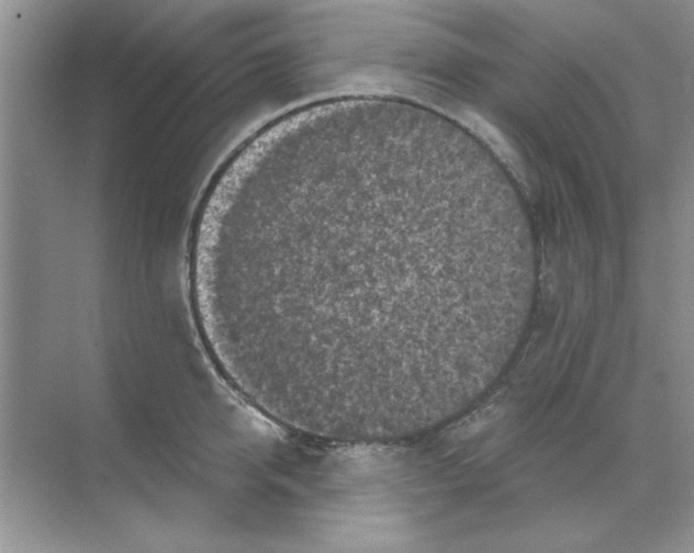 X0000068890950200606021916