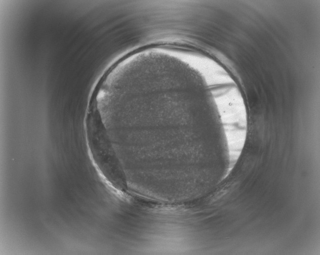 X0000068890951200606021916