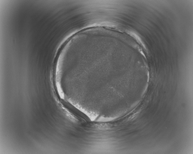 X0000068890952200606021916