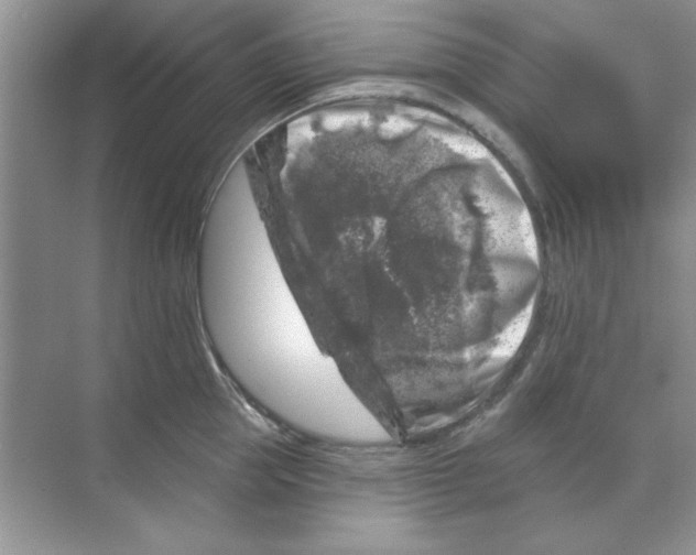 X0000068890953200606021916