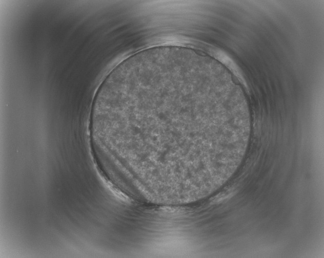 X0000068890954200606021916