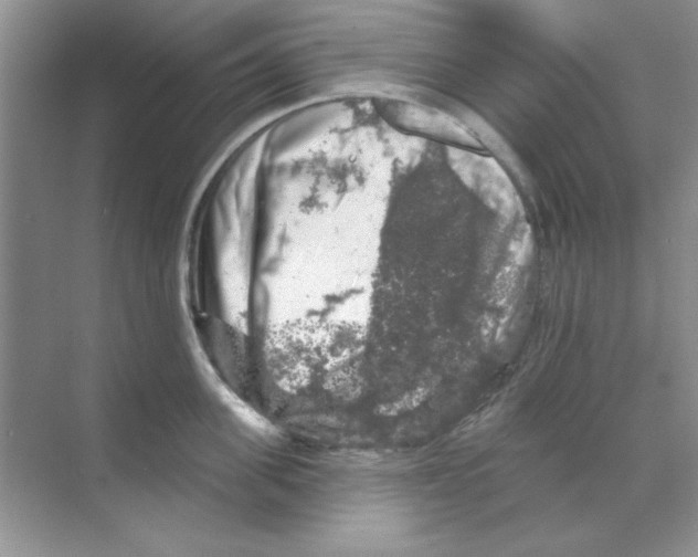 X0000068890955200606021916