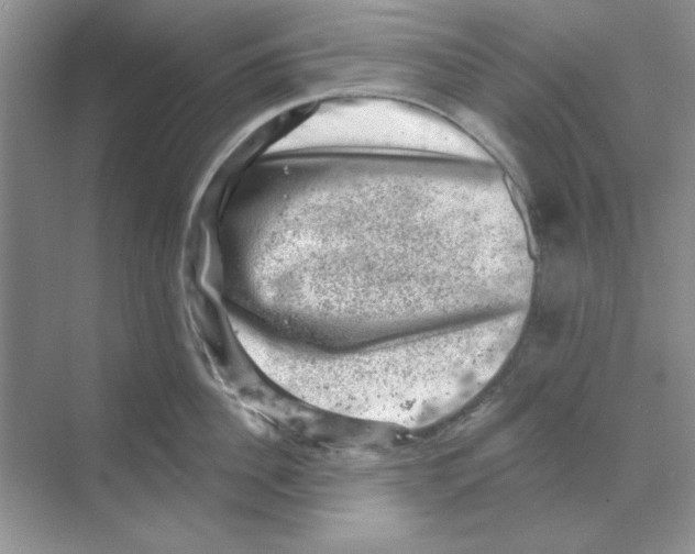 X0000068890956200606021916