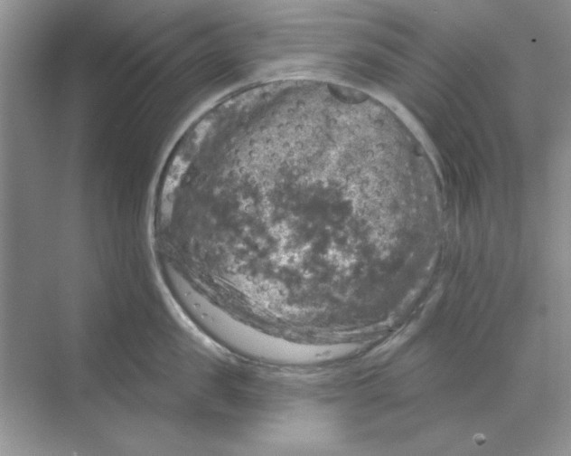 X0000068890957200606021916