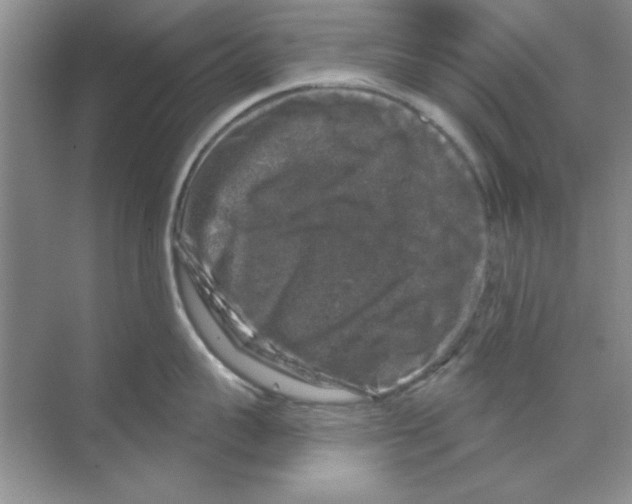 X0000068890959200606021916