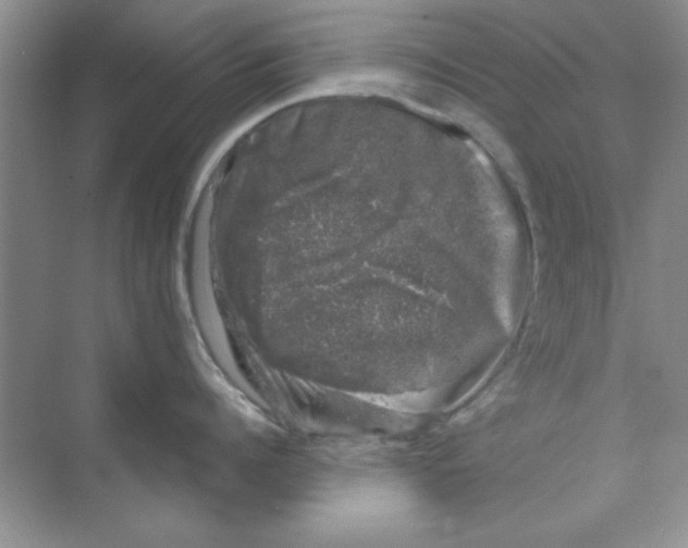 X0000068890960200606021916