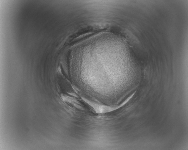 X0000068890961200606021915