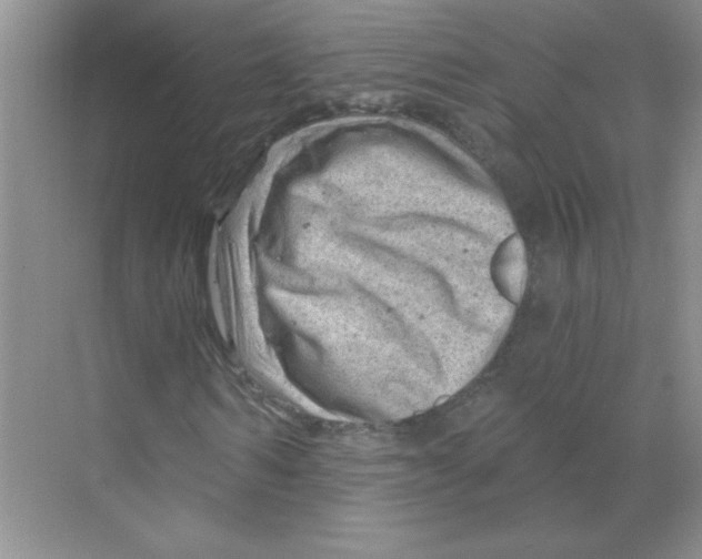 X0000068890962200606021915