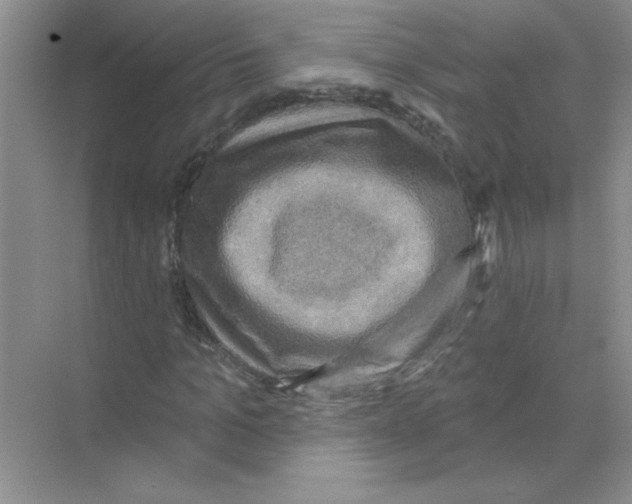 X0000068890965200606021915