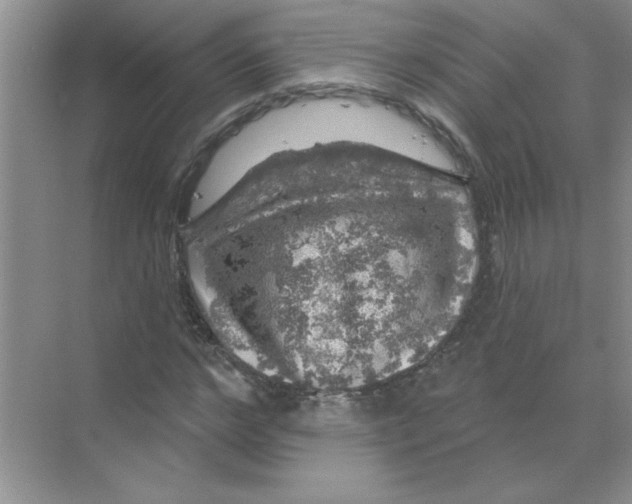 X0000068890968200606021915