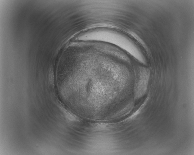 X0000068890969200606021915