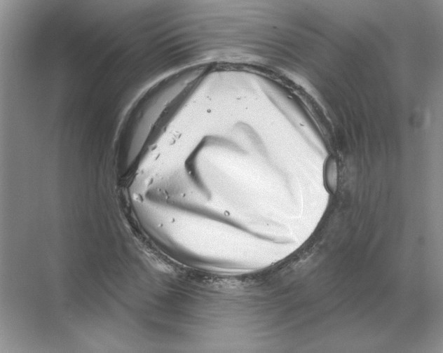 X0000068890971200606021915