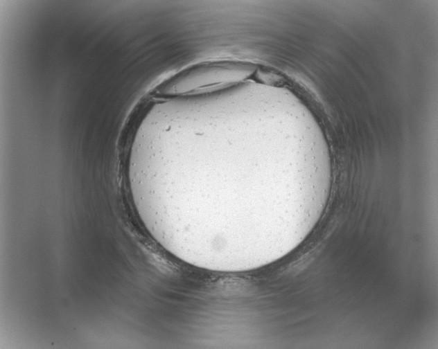 X0000068890974200606021915