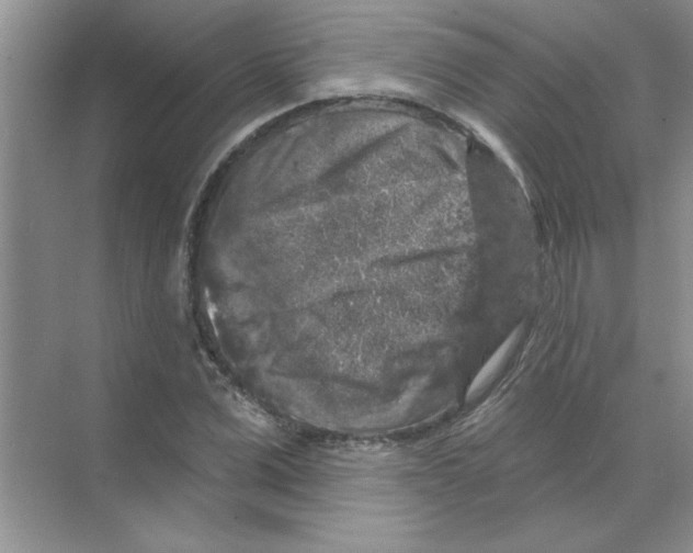 X0000068890975200606021915