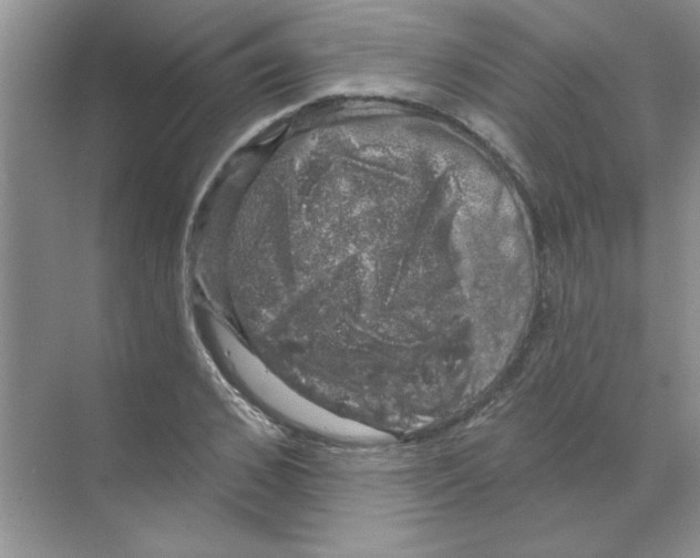 X0000068890976200606021915