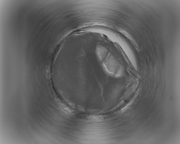 X0000068890977200606021915