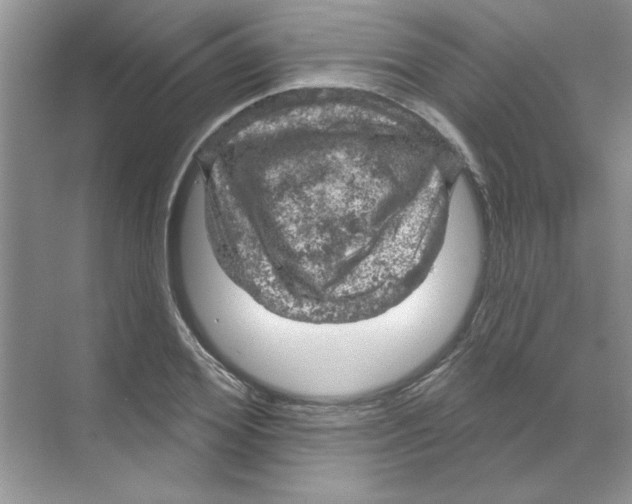 X0000068890980200606021915