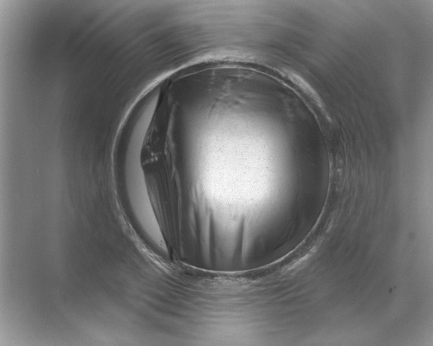 X0000068890981200606021915