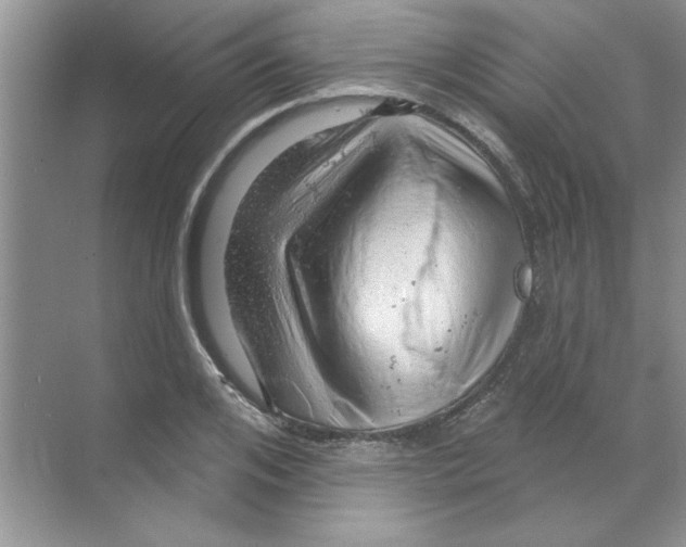 X0000068890984200606021915