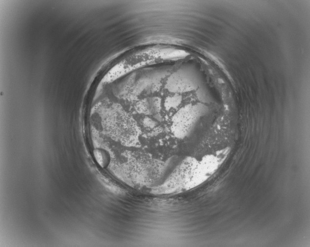 X0000068890987200606021915