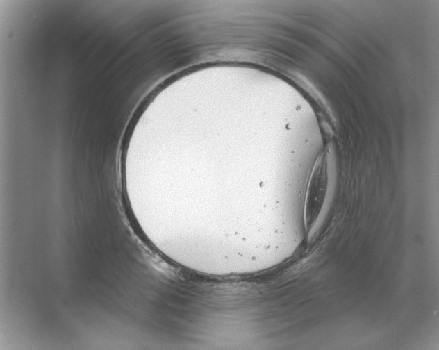 X0000068890988200606021915