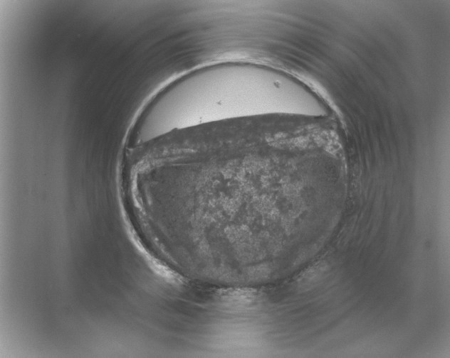 X0000068890991200606021915