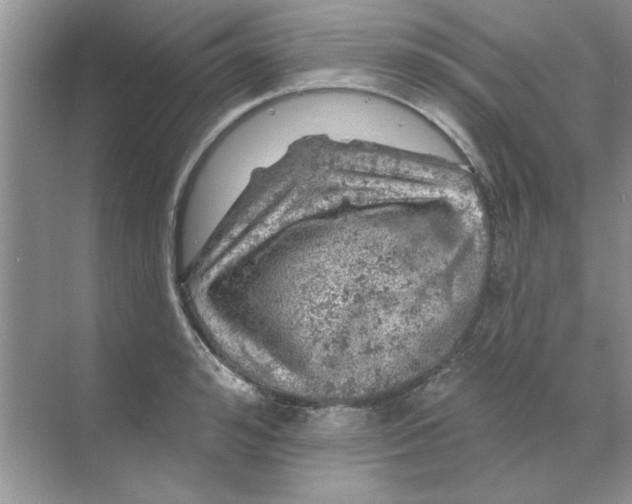 X0000068890992200606021915