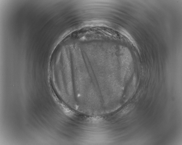 X0000068890994200606021915