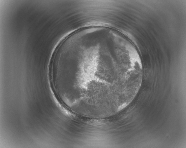 X0000068890995200606021915