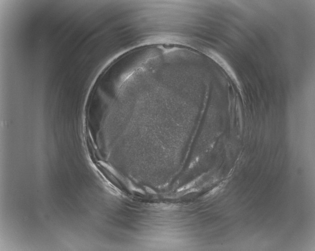 X0000068890996200606021915