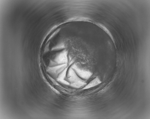 X0000068890997200606021914