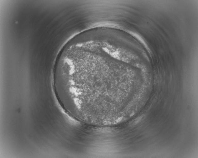 X0000068890999200606021914