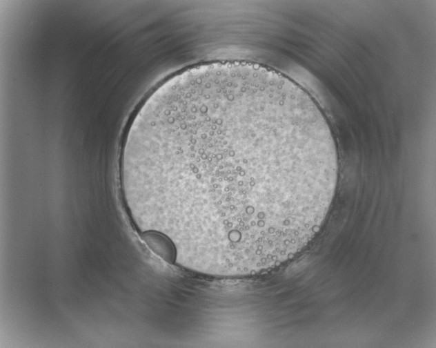 X0000068891000200606021914