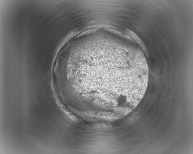 X0000068891002200606021914