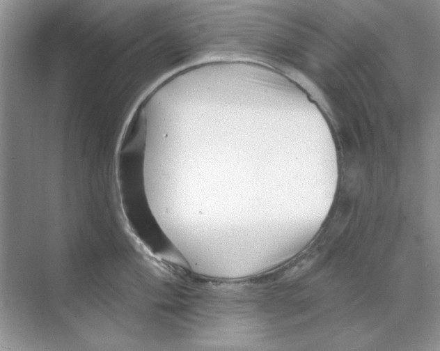 X0000068891004200606021914