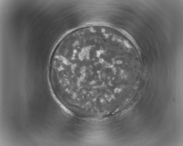 X0000068891005200606021914