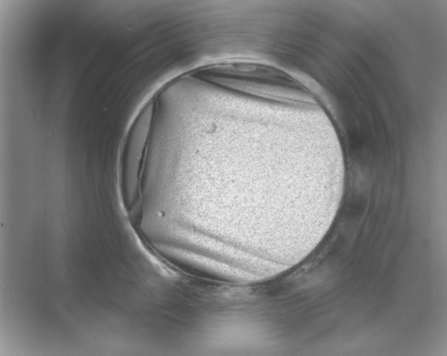 X0000068891006200606021914